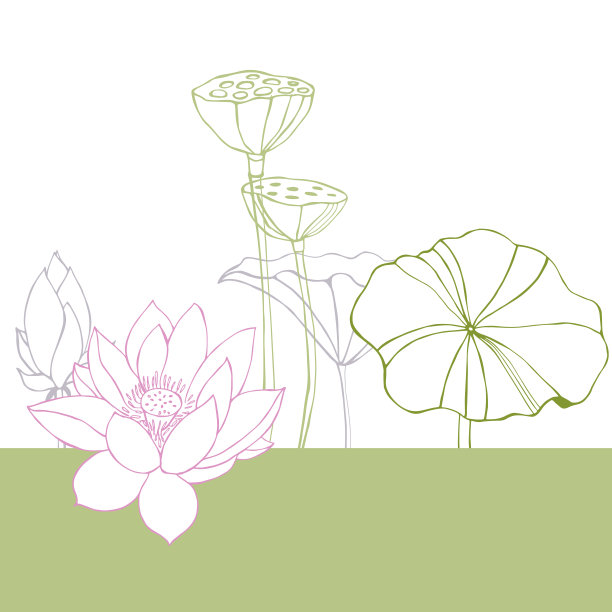 lotus