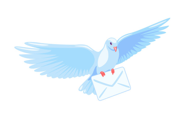 pigeon