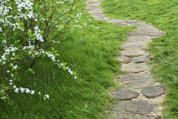 pathway