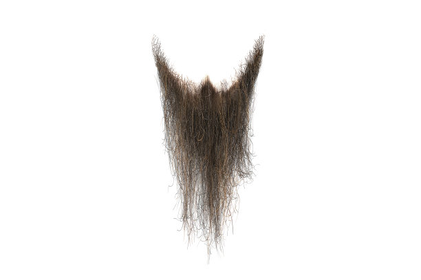 mustache