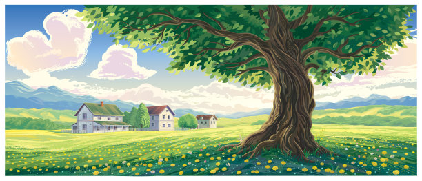 illustrations
