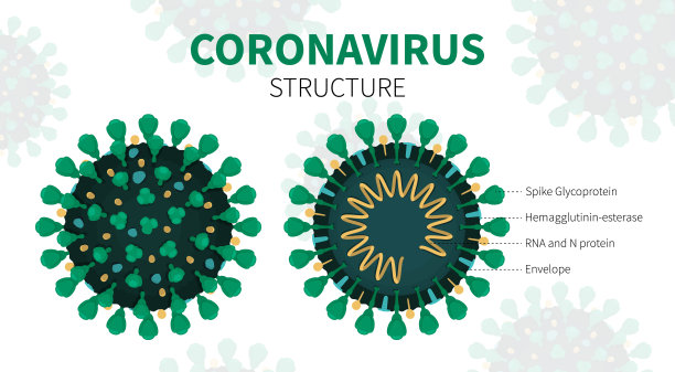 coronavirus