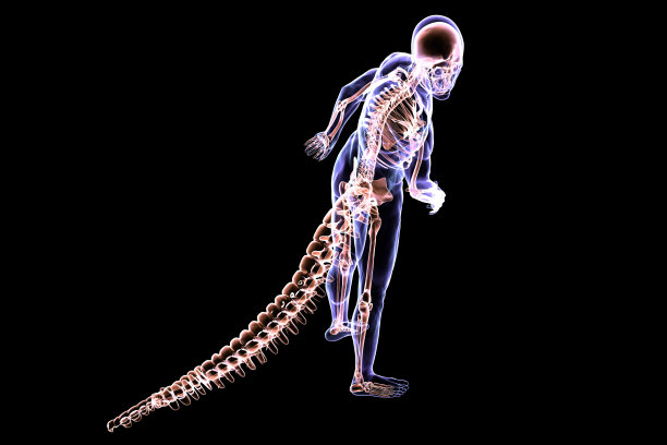 skeleton