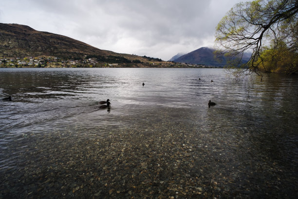 wakatipu