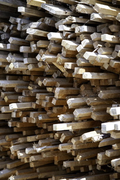 木材生产