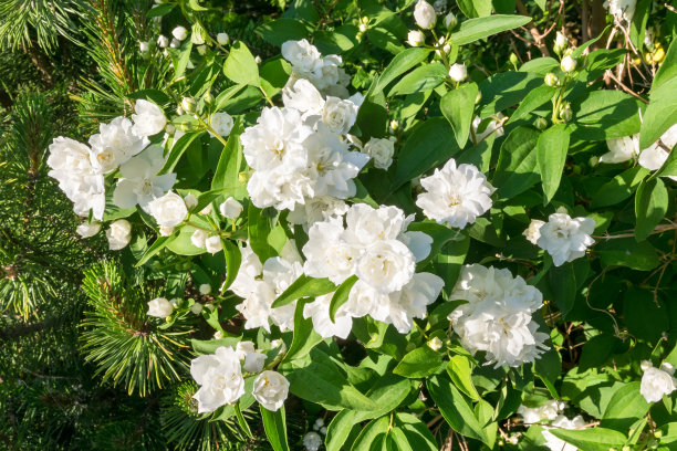 非都市风光,户外,季节