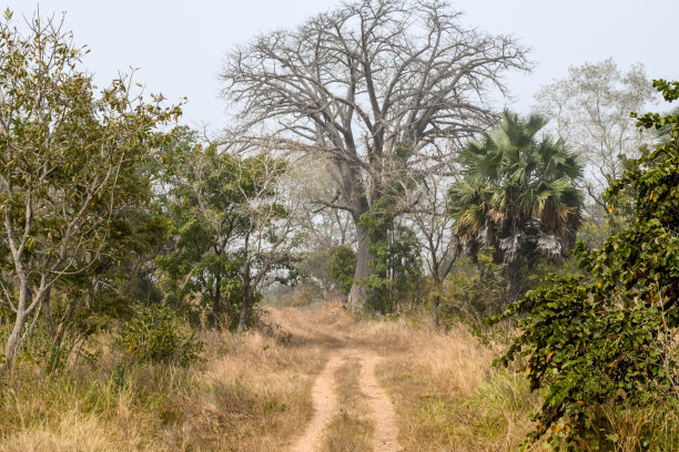 togo