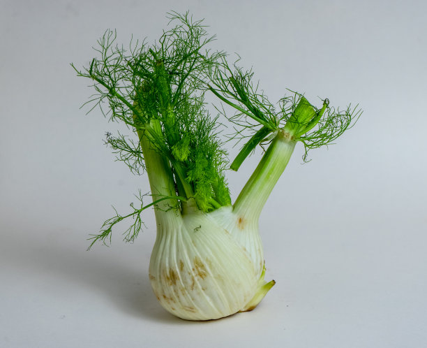 anise