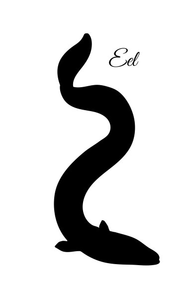 eel