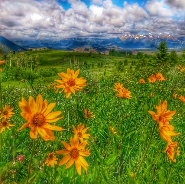 自然壮观美景