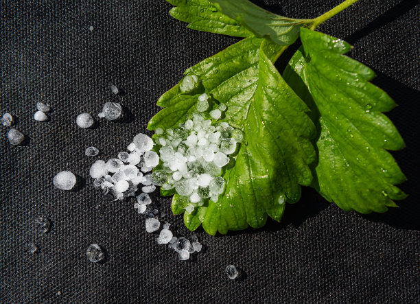 立冬大雪小寒雨水