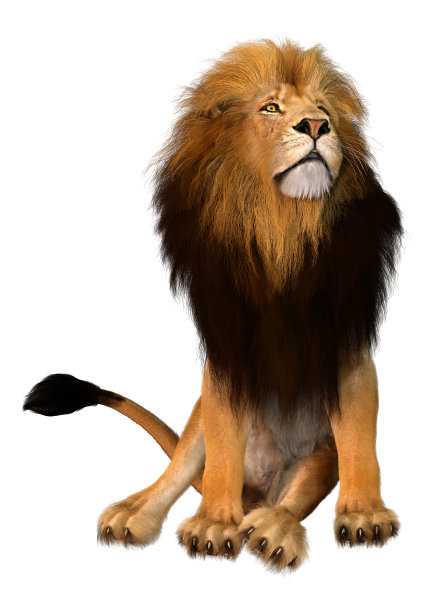 狮子座插画