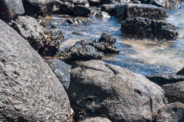 backwater
