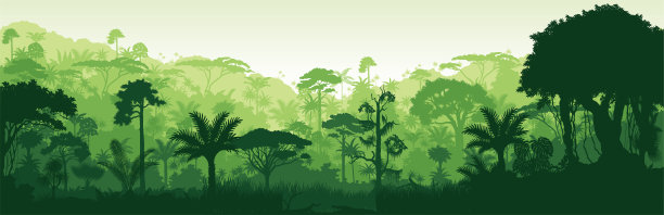jungle