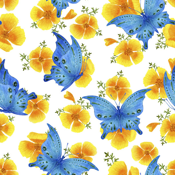 蓝白花卉蝴蝶图案素材
