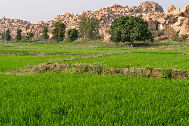 hampi