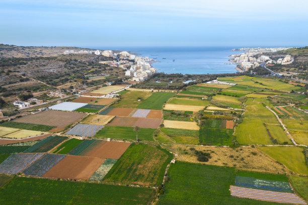 航拍视角,农业,马耳他群岛