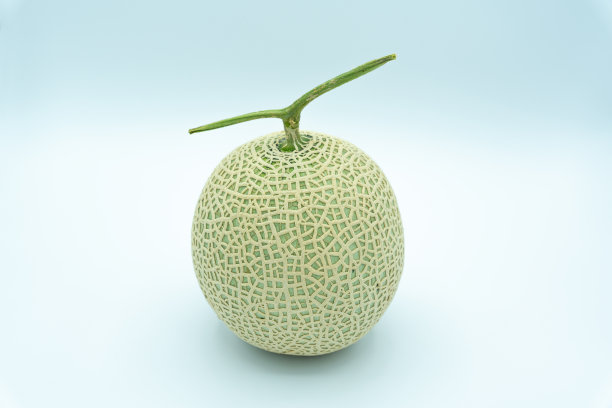 cantaloupe