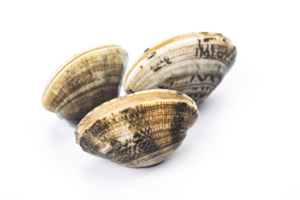 cockle