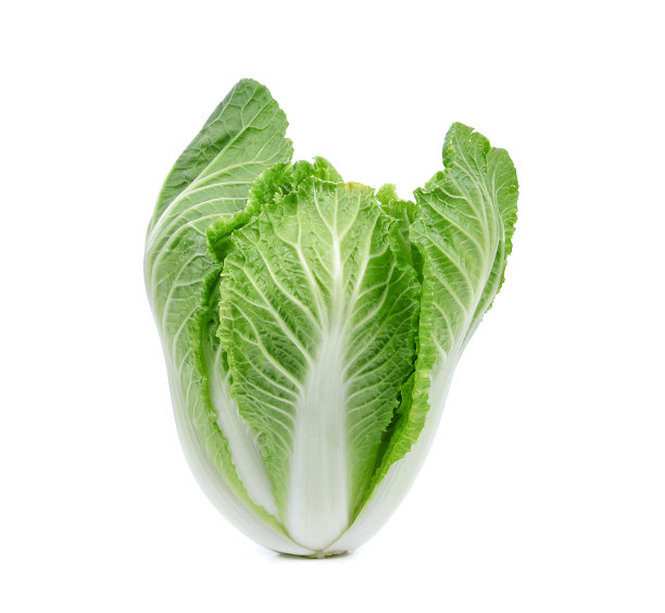 白菜