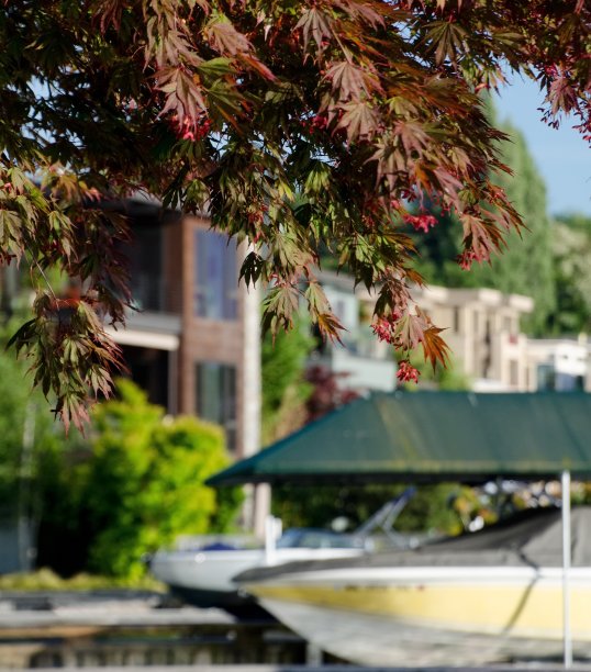 kirkland
