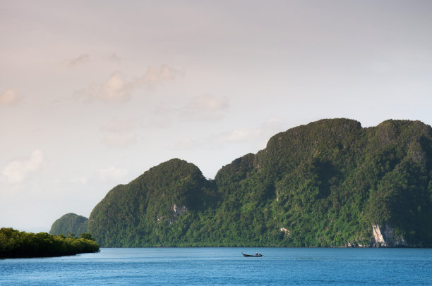 红树林海滩全景图