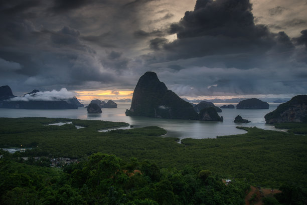 红树林海滩全景图