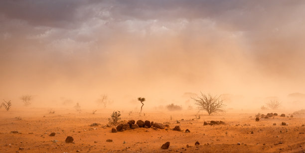 climate