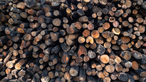 木碳