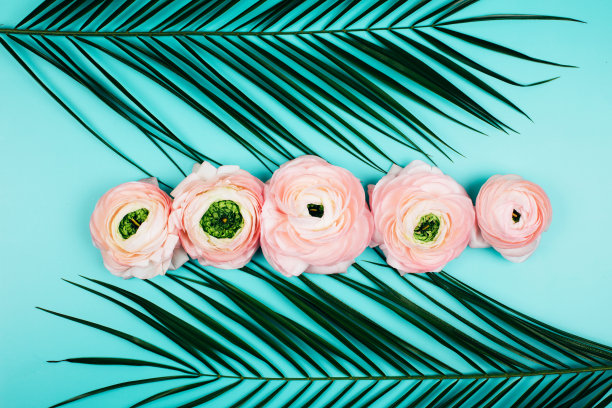 清新蓝绿棕榈叶图案背景