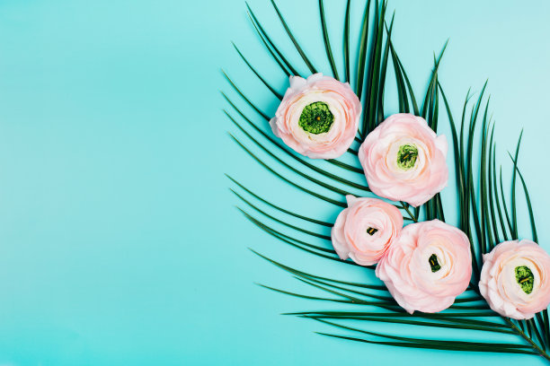 清新蓝绿棕榈叶图案背景