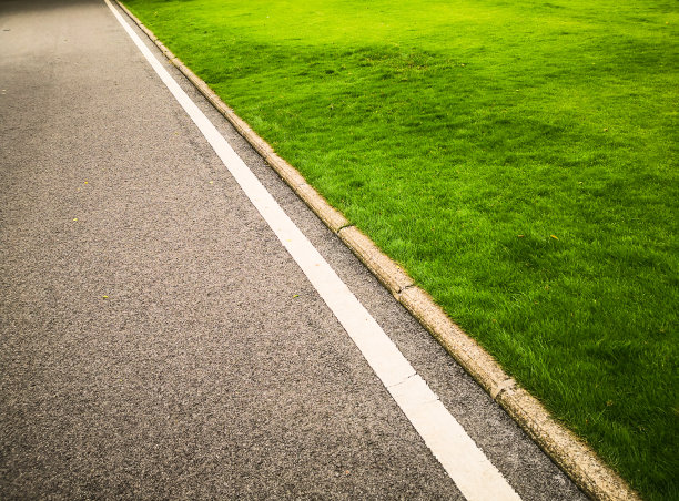 公路绿化带