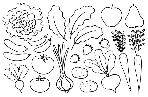 矢量土豆插画