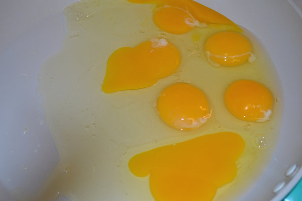 yolk