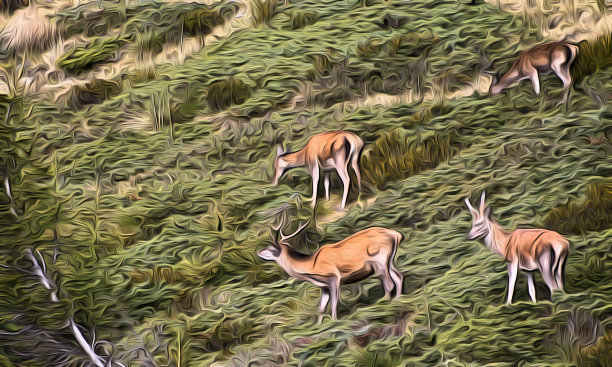 抽象画鹿