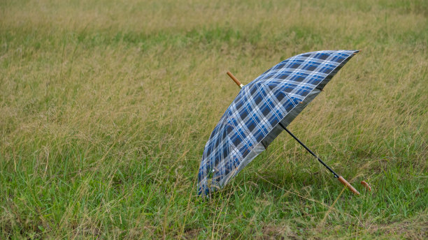 草地上的遮阳伞
