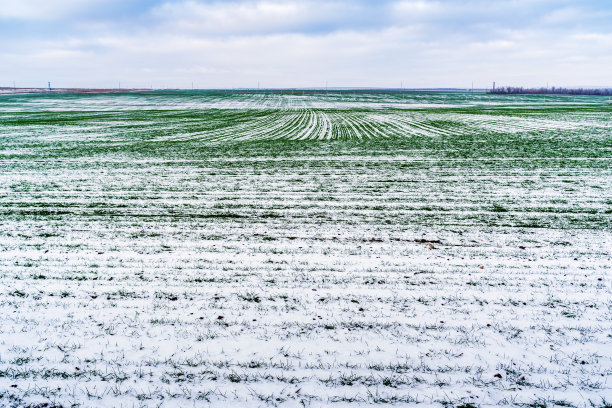 农业,云,雪