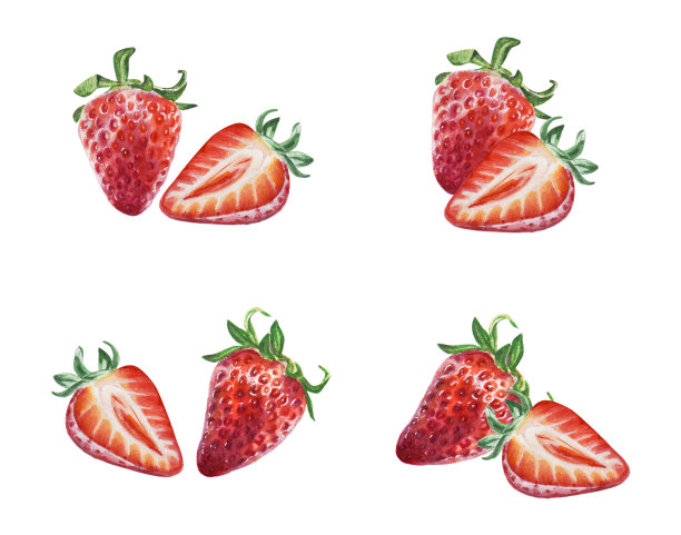 草莓水彩插画