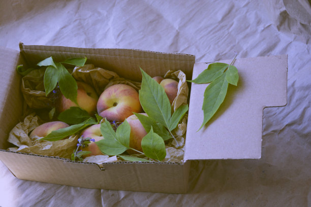 水蜜桃包装箱