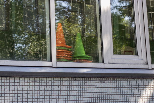 木窗前的绿植