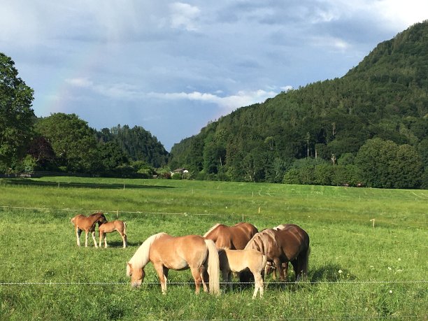 马岩松