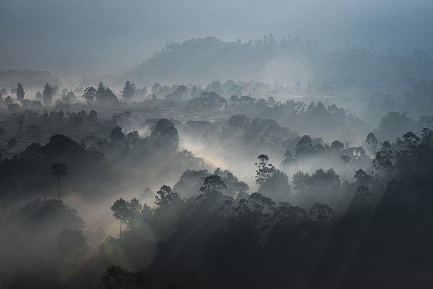 大山森林云雾