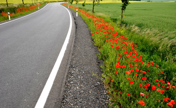 塑胶道路