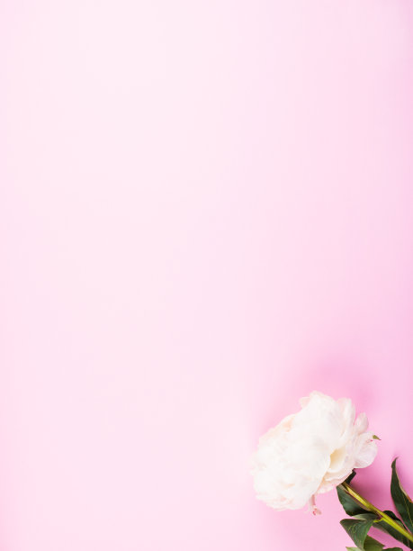 美丽粉色花卉邀请函 小清新贺卡