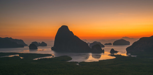 红树林海滩全景图