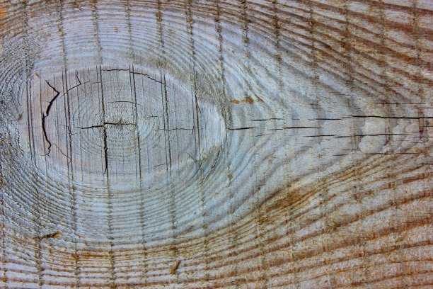 圆圈木纹