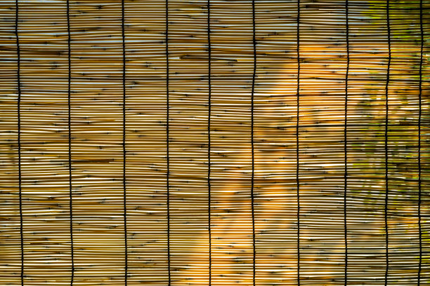 竹子窗格