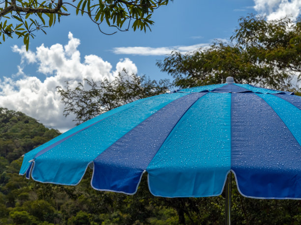 草地太阳伞