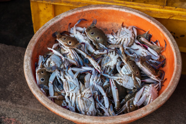三鲜