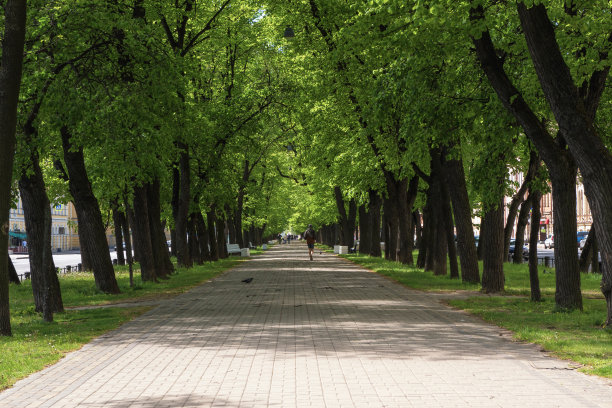avenue